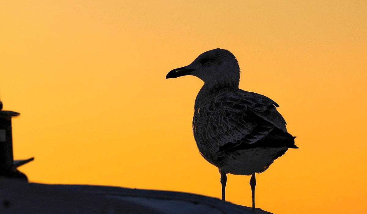 Painting and protecting a narrowboat hull